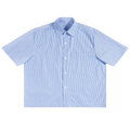 Blank Button Up
